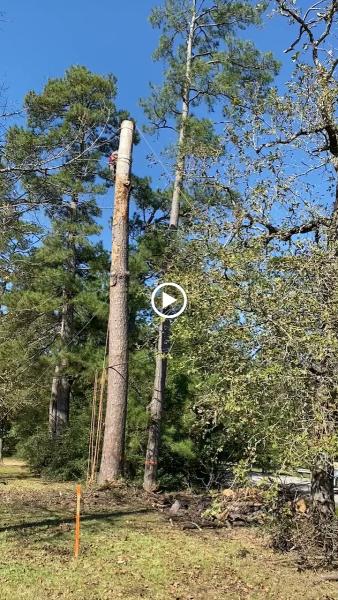 Highpoint Tree Care