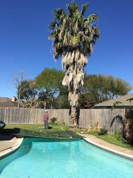 Highpoint Tree Care