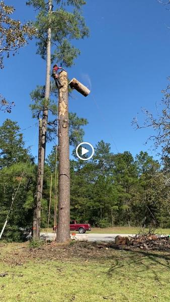Highpoint Tree Care