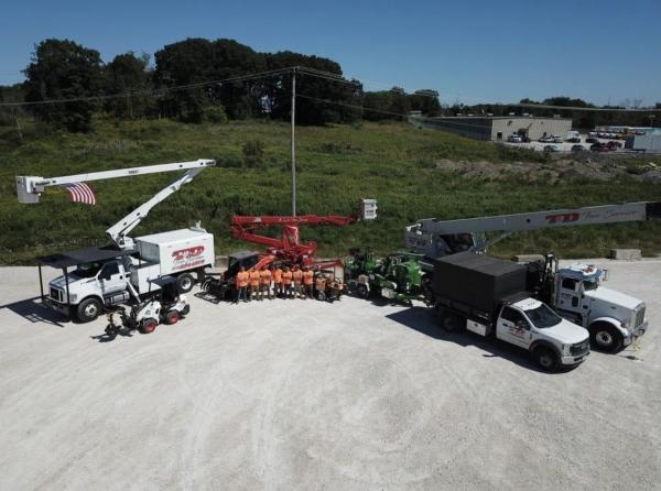 T&D Tree Service
