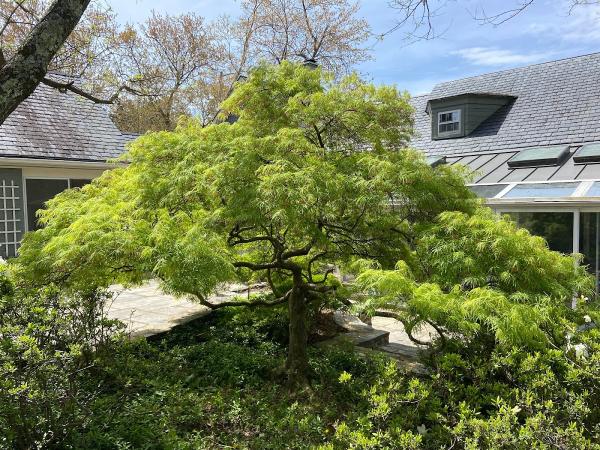 Arborserve LLC