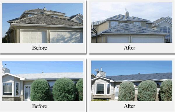 Vertex Roofing
