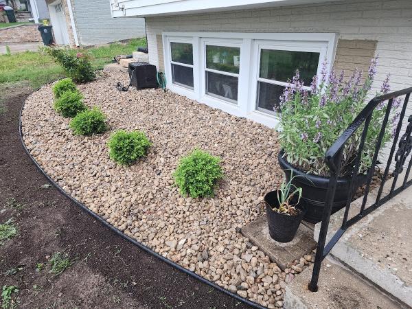 Boley Tree & Landscape Care Inc