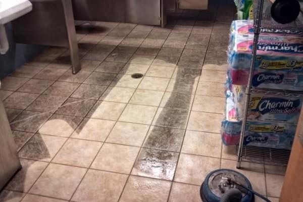 Payneless Floor Care