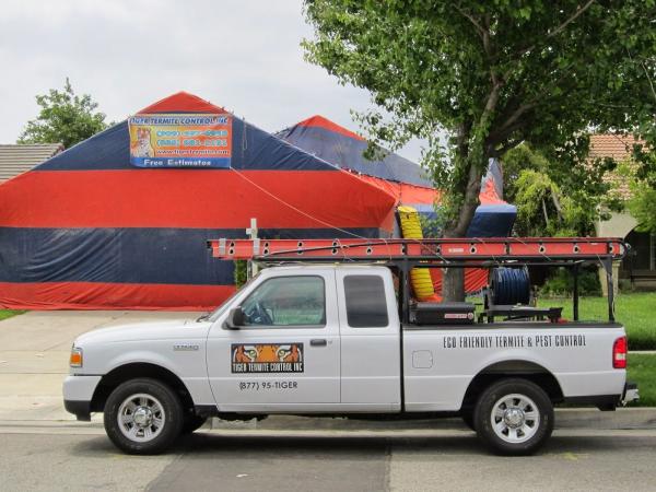 Tiger Termite Control Inc