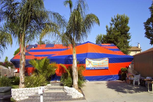 Tiger Termite Control Inc