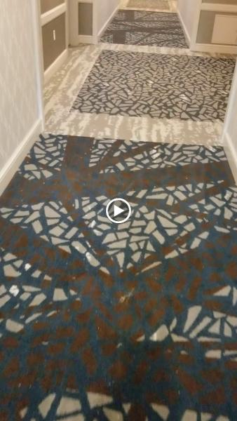 Carpet Lover Plus Inc