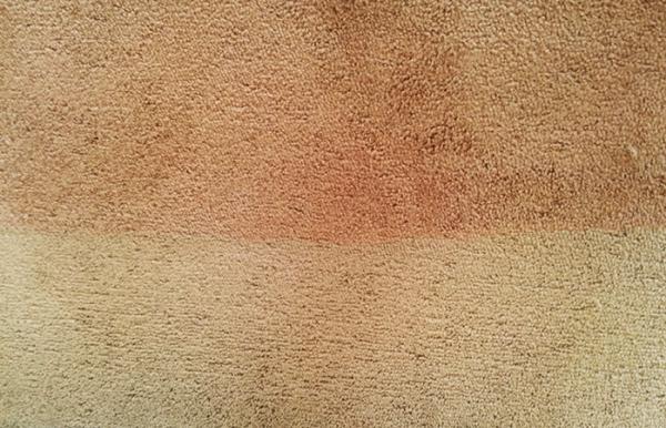 Truly Clean Carpet Care
