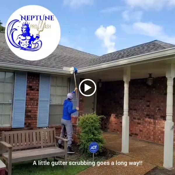 Neptune Prowash