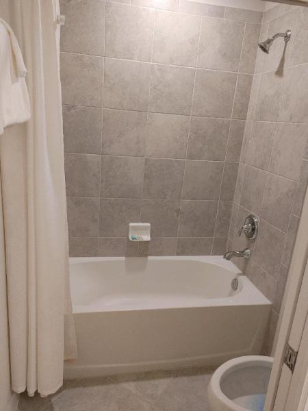 Ruth Lady 1 Cleaning Professionals LLC