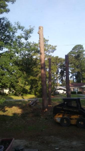 A & R Tree Service