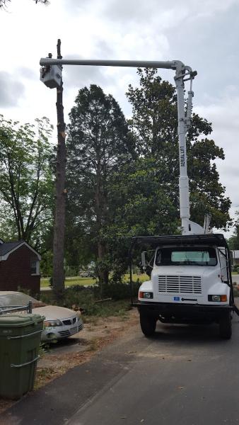 A & R Tree Service
