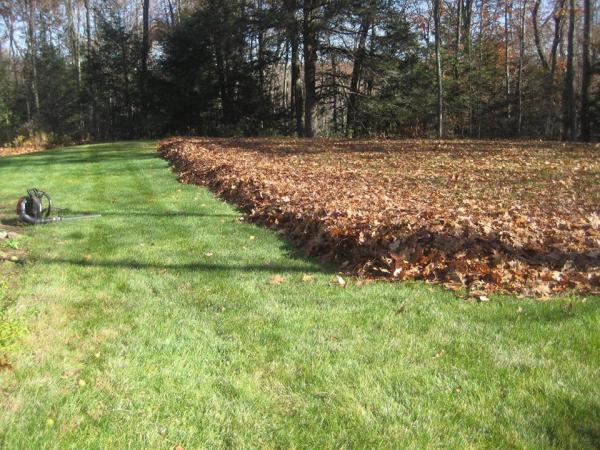 Triangle Lawn Care & Landscaping Inc.