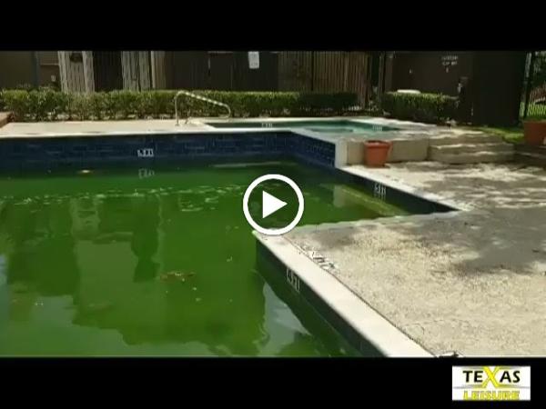 Texas Leisure Pools & Spas L.l.c.