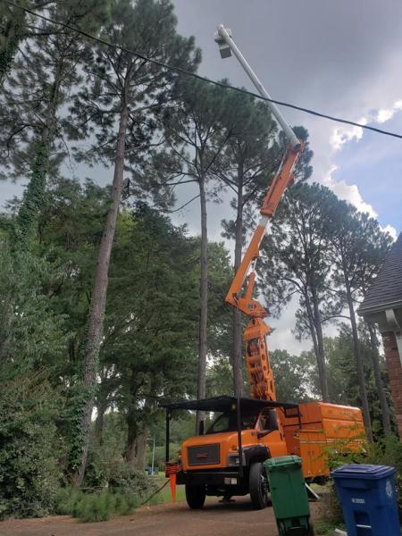 Tulsa Tree Service & Stump Removal
