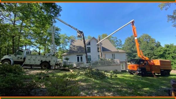 J & K Lawn & Tree Service