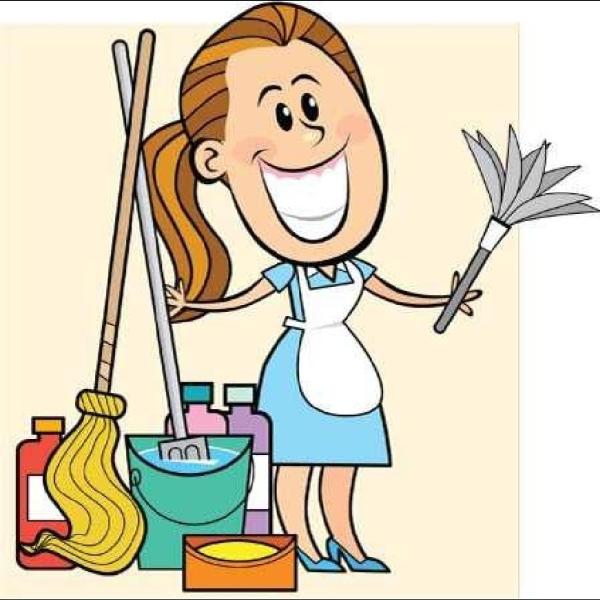 Alex's Polish Cleaning Service