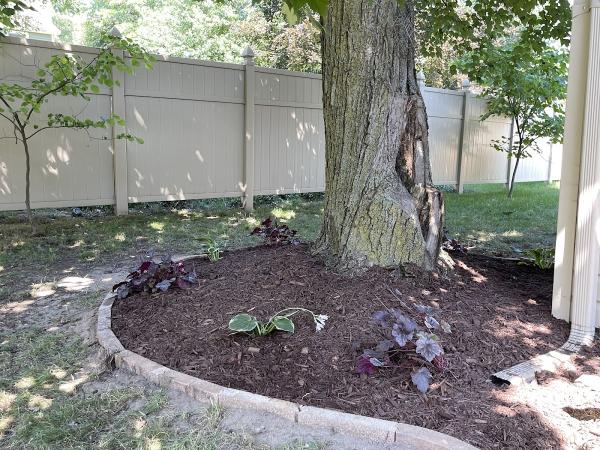Wenke Landscaping