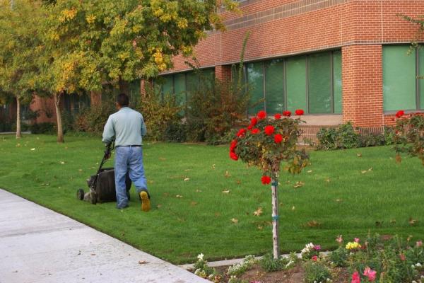 Grand Oaks Landscaping