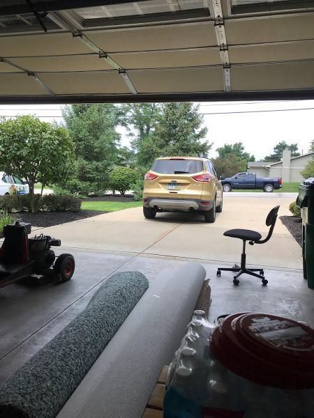 Pro-Clean Carpet Cleaning