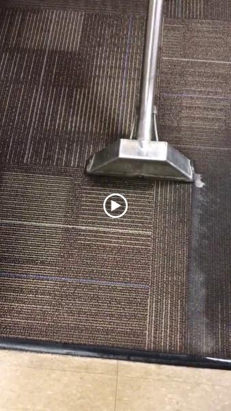 Populist Cleaning Co