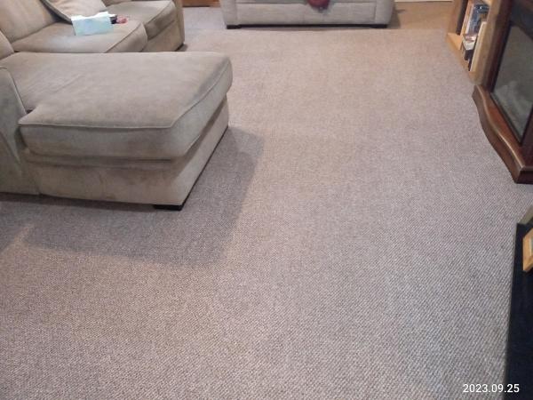 Steampro Carpet Cleaning