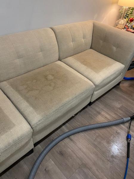 Steampro Carpet Cleaning