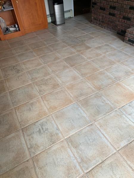 Steampro Carpet Cleaning