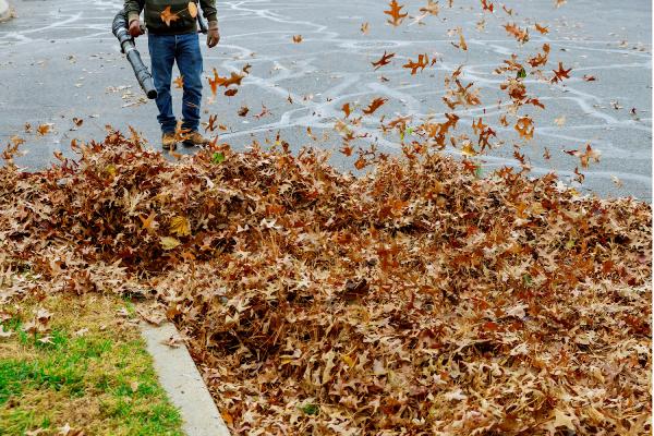 7 Day Home Maintenance