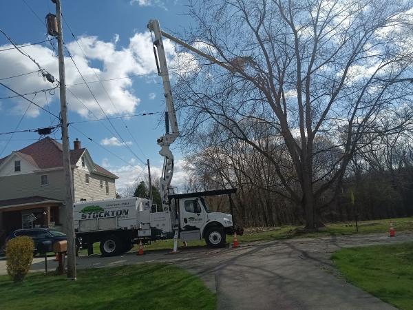 Stockton Tree Service LLC