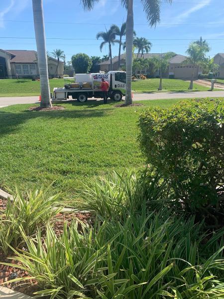 All U Need Pest Control Fort Myers
