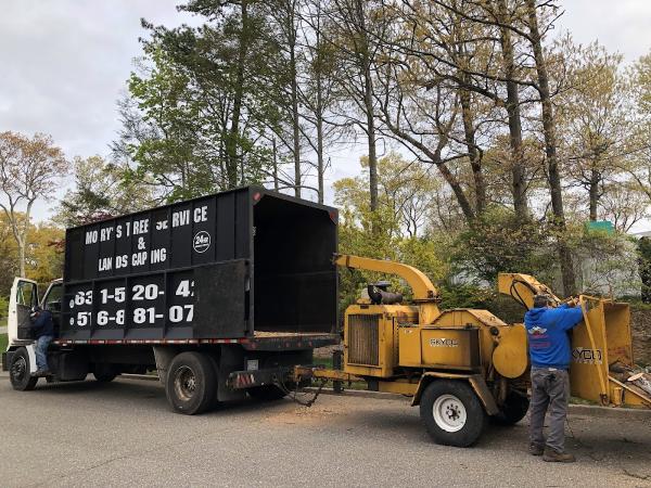 Mory's Tree Services Inc