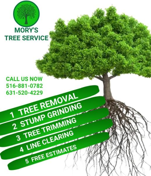 Mory's Tree Services Inc