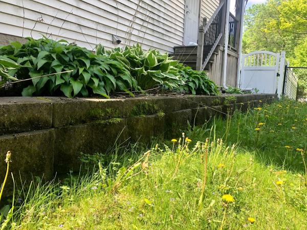 The Power Washing Company