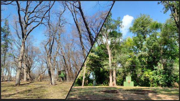 Custom View Tree & Landscape LLC