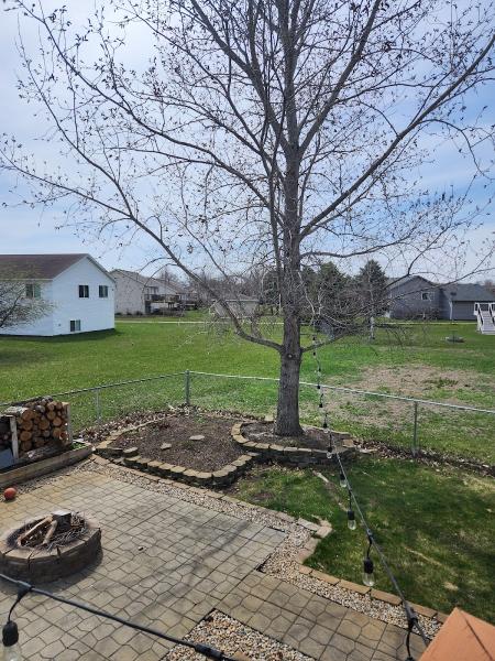 Custom View Tree & Landscape LLC
