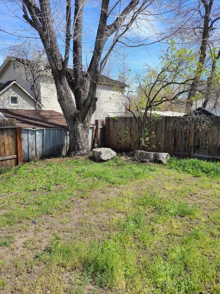 Nevada Stump Removal