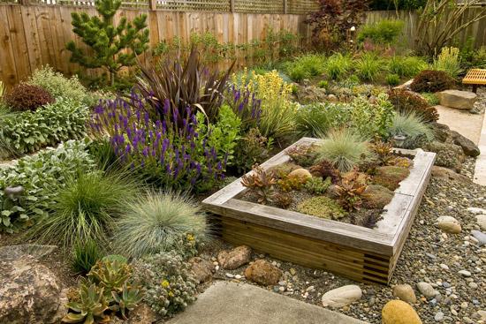 Mulch N More