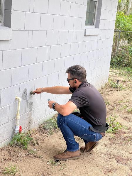 Glasshouse Inspections