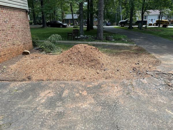 Stump Doctor Grinding & Tree Service
