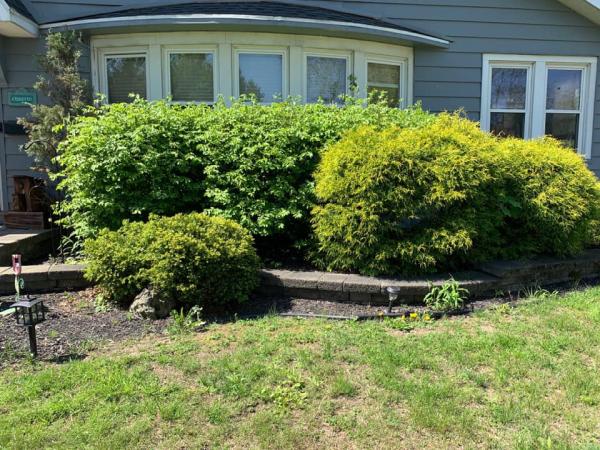 Ferguson Property Maintenance Inc.