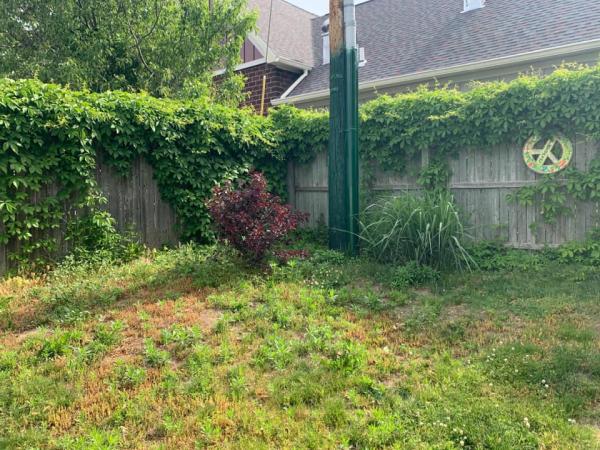 Ferguson Property Maintenance Inc.