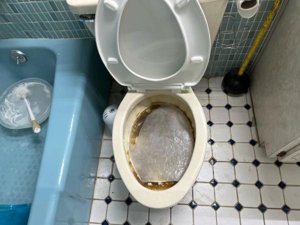 Tampa House Cleaning Services