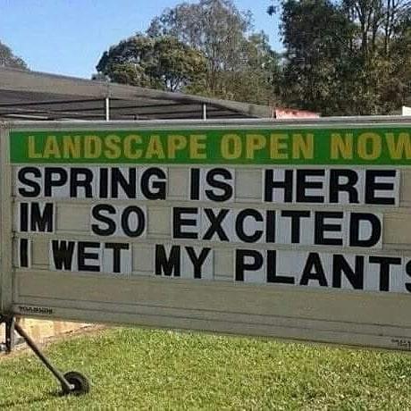 Excellence Lawn Service