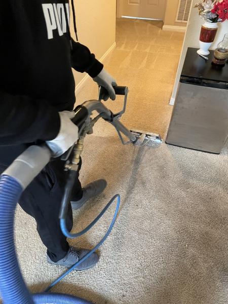 Your Royal Carpet Care