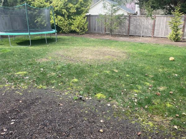 Green Sun Landscaping and Mnc