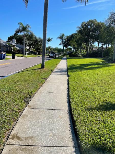 Taylor Pressure Washing