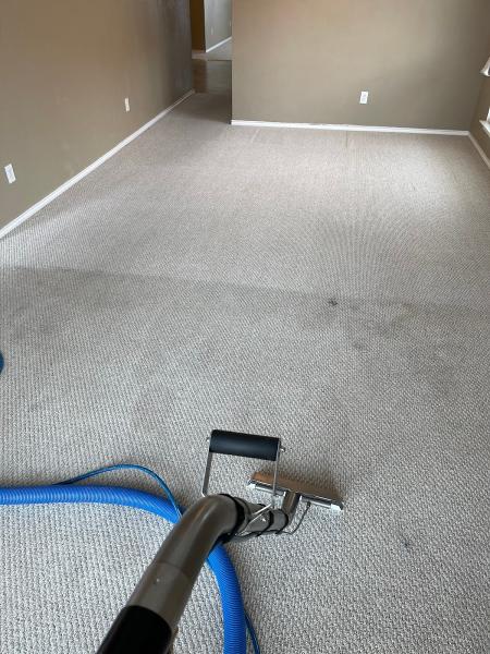 Blue Ribbon Carpet Cleaning