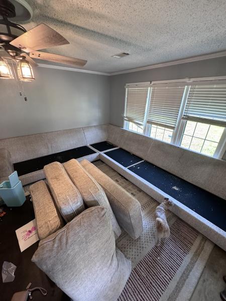 Blue Ribbon Carpet Cleaning
