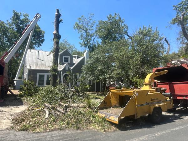 Tree Service